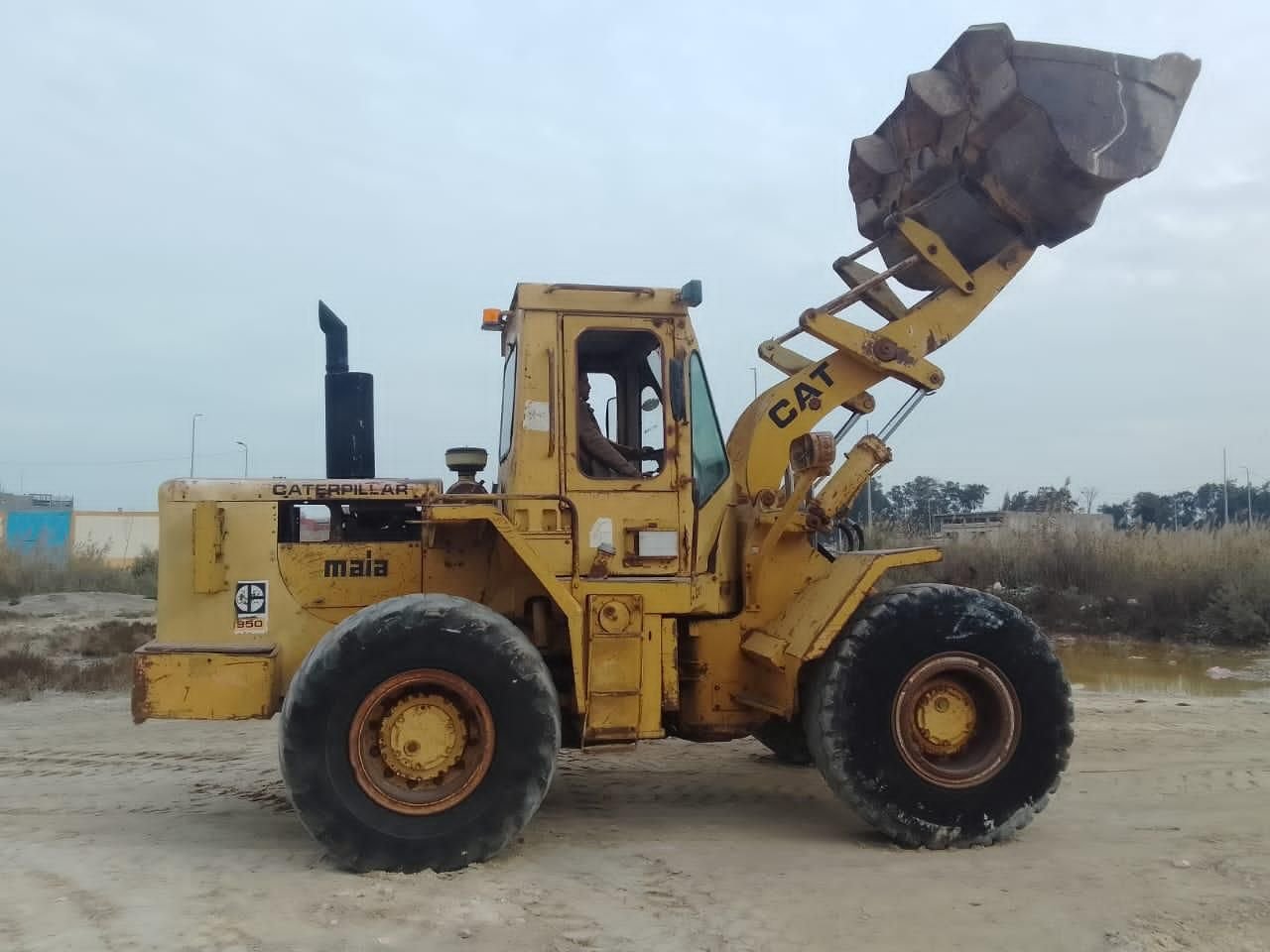 Loaders for sell in Syria, Syria Caterpillar Loaders for sell in Deir Ezzor, 950, Mobile  0949318052