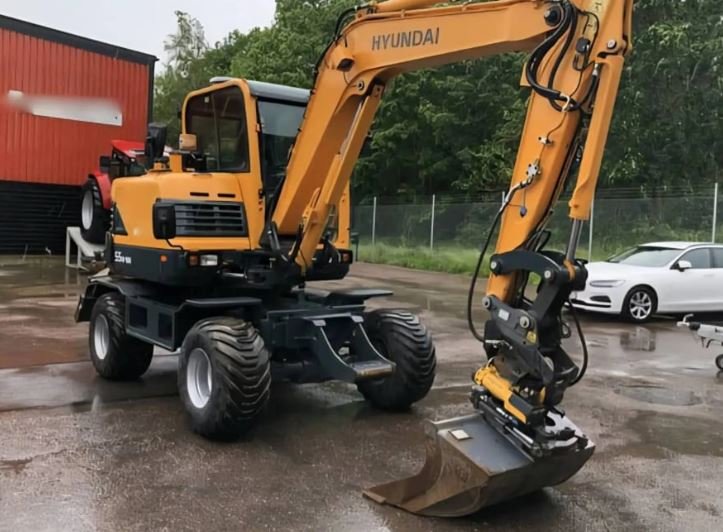 New cat hole 0964582377